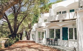 Capsud, La Garde-Freinet